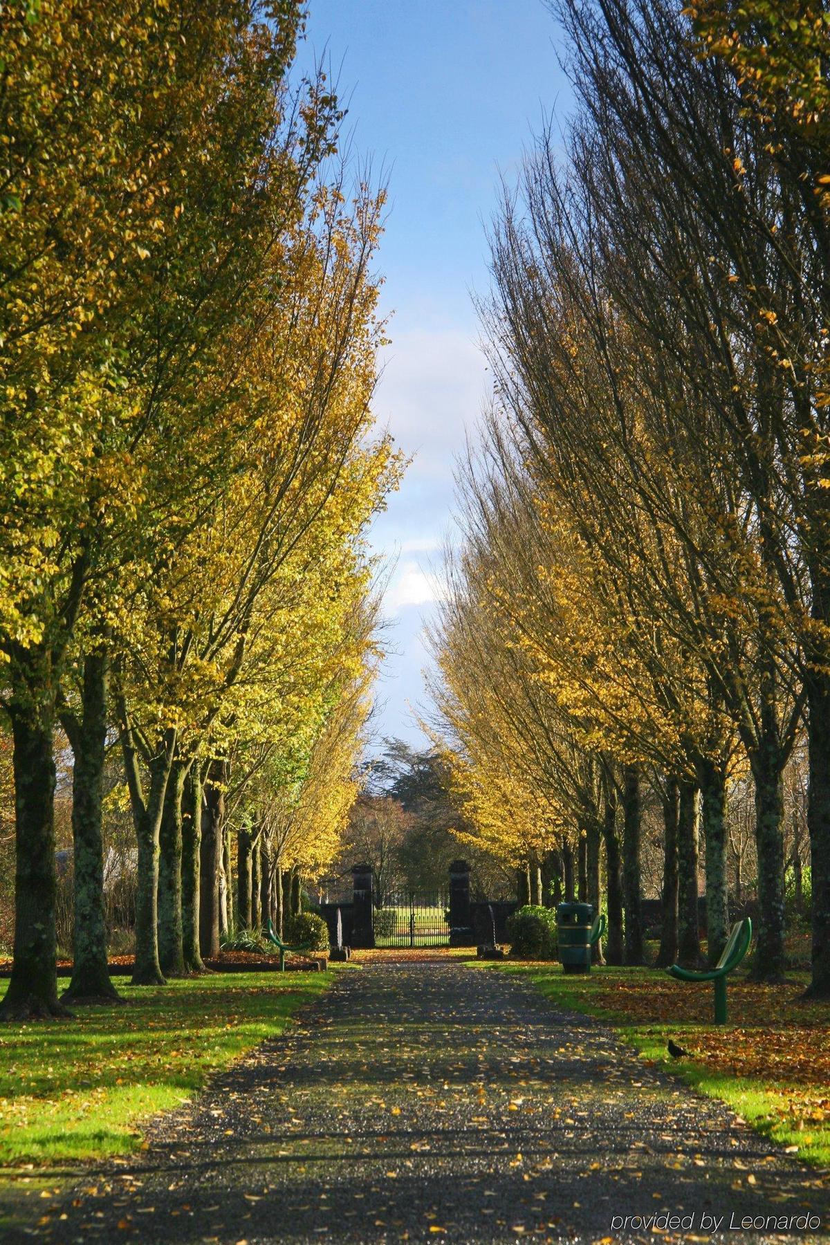 The Dunraven, Adare Hotel Buitenkant foto